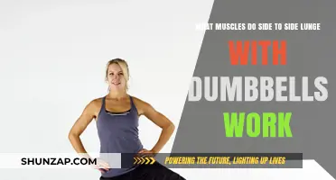 Side-to-Side Dumbbell Lunges: Targeted Muscles and Workout Benefits