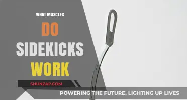 Sidekicks: Unlocking the Muscles Engaged in This Powerful Martial Arts Move