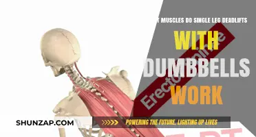 Single Leg Deadlifts with Dumbbells: Target Muscles and Benefits