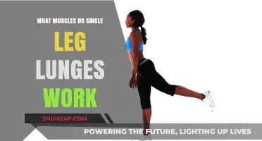 Single Leg Lunges: Targeted Muscles and Benefits Explained
