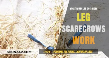 Single Leg Scarecrows: Targeted Muscles and Benefits Explained