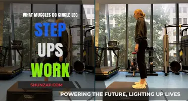 Single Leg Step Ups: Target Muscles and Benefits Explained