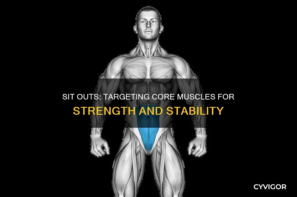 what muscles do sit outs work