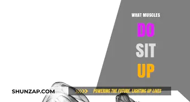 Sit-ups: Which Muscles Are Activated?