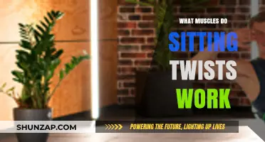 Sitting Twists: Targeted Muscles and Core Benefits Explained