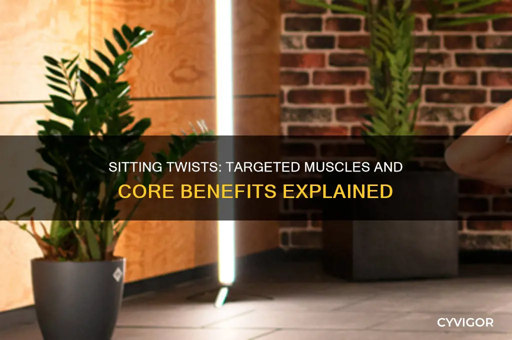 what muscles do sitting twists work