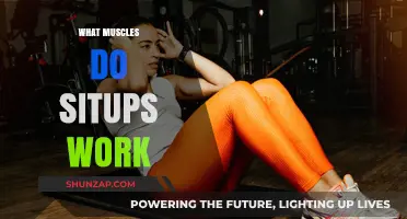 Situps: Unlocking Core Strength and Targeted Muscle Engagement Explained