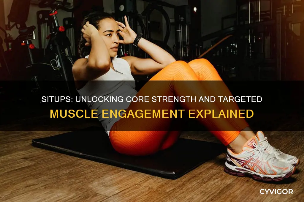 what muscles do situps work