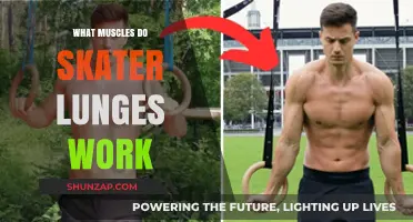 Skater Lunges: Targeted Muscles and Benefits for Lower Body Strength