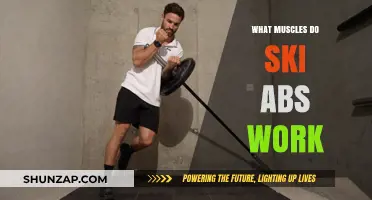Ski Abs Workout: Targeted Muscles for Core Strength and Stability