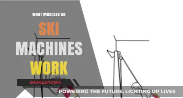 Ski Machines: Target Muscles and Full-Body Benefits Explained