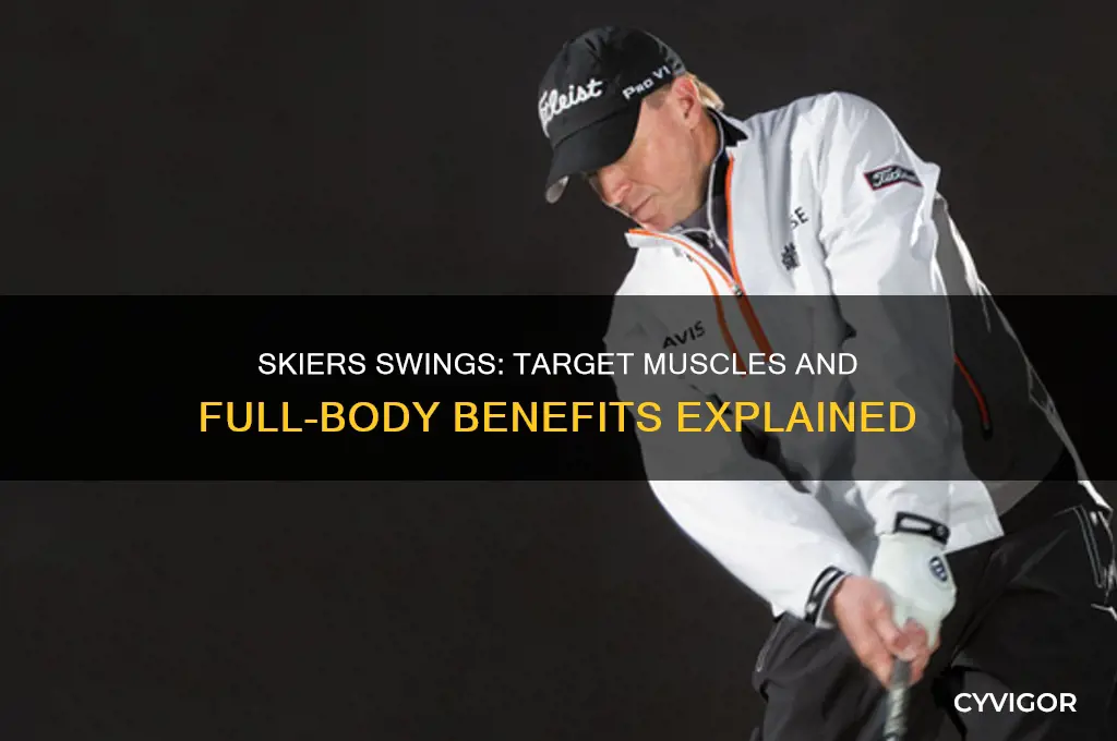 what muscles do skier swings work