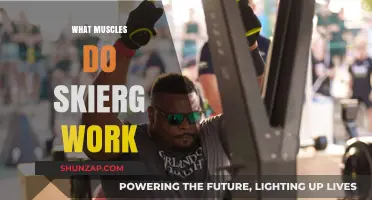 SkiErg Workout: Target Muscles and Full-Body Benefits Explained