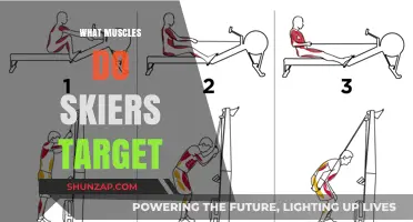 Skiers' Muscles: Targeted Areas for Optimal Performance