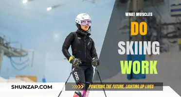 Skiing's Muscle Power: Unveiling the Key Muscles Engaged on the Slopes
