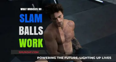 Slam Balls: Target Muscles and Full-Body Benefits Explained