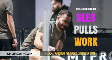 Sled Pulls: Target Muscles and Full-Body Strength Benefits Explained