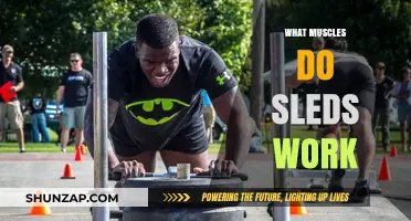 Sled Workouts: Targeting Muscles for Strength and Endurance
