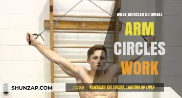 Small Arm Circles: Targeted Muscles and Benefits for Toned Arms