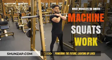 Smith Machine Squats: Targeted Muscles and Effective Workout Benefits