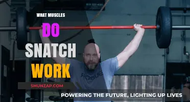 Snatch Workout Muscles: Unlocking Full-Body Strength and Power