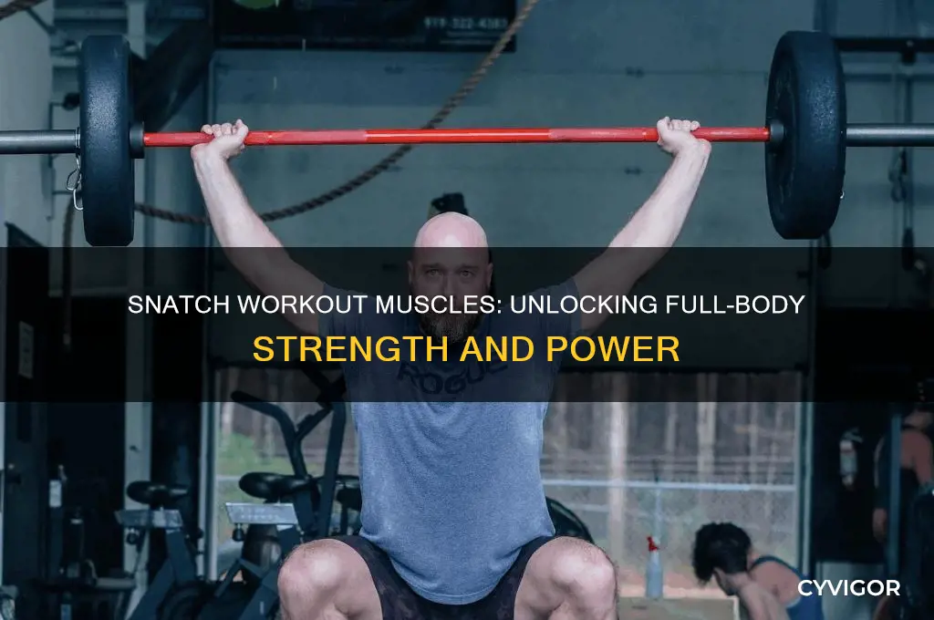 what muscles do snatch work