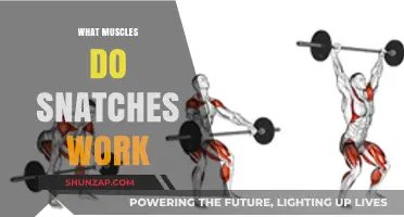 Snatch Workout Muscles: Unlocking Full-Body Strength and Power
