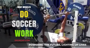 Soccer's Full-Body Workout: Muscles Engaged in Every Kick and Sprint