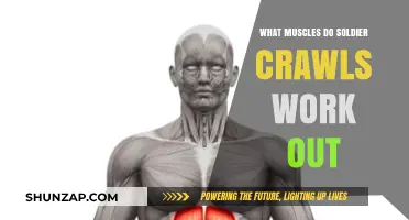 Soldier Crawls: Targeted Muscles and Full-Body Workout Benefits