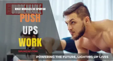 Spartan Push-Ups: Targeted Muscles and Full-Body Benefits Explained