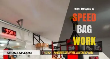Speed Bag Workout: Targeted Muscles and Fitness Benefits Explained