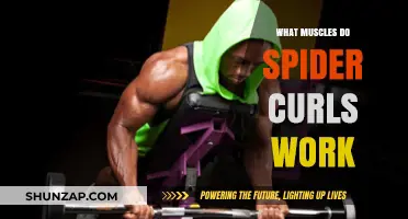 Spider Curls: Targeted Muscles and Benefits for Stronger Arms