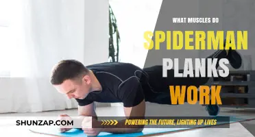 Spider-Man Planks: Targeted Muscles and Core Strengthening Benefits