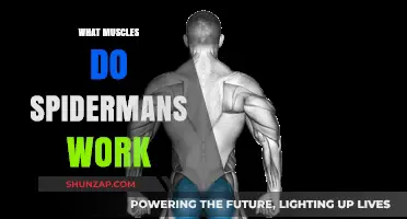 Unleash Your Inner Spider-Man: Muscles Targeted by Spiderman Push-Ups