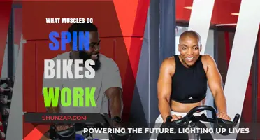 Spin Bike Muscles: Targeted Toning for Legs, Core, and Glutes