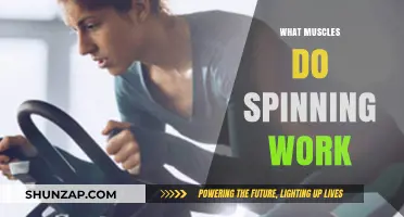 Spinning Benefits: Key Muscles Targeted in Indoor Cycling Workouts
