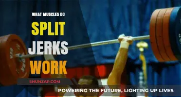 Split Jerks: Targeted Muscles and Full-Body Benefits Explained