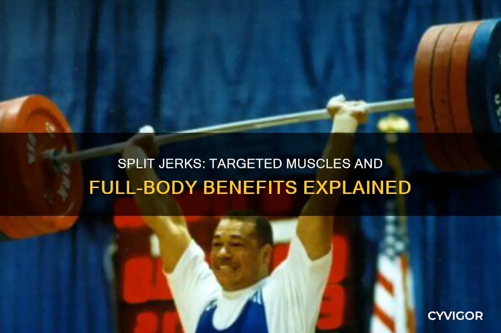 what muscles do split jerks work