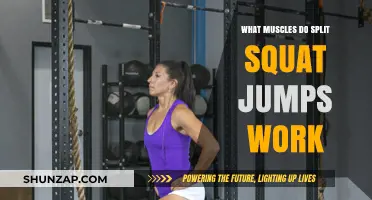Split Squat Jumps: Targeted Muscles and Full-Body Benefits Explained