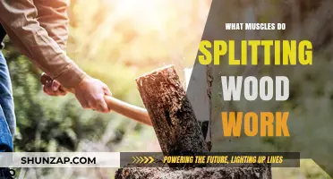 Muscles Engaged in Splitting Wood: A Comprehensive Guide to Strength Training