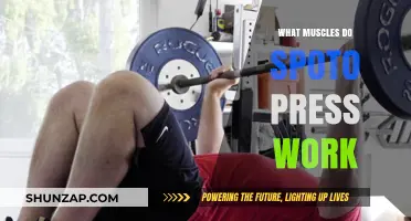 Spoto Press Muscles: Targeted Chest, Triceps, and Shoulder Activation Explained