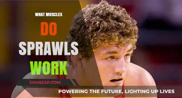 Sprawls Workout Benefits: Targeted Muscles and Full-Body Engagement Explained