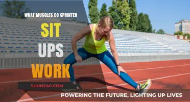 Sprinters' Sit-Ups: Targeting Core Muscles for Speed and Stability