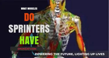 Sprinters' Muscles: Powering Speed and Performance