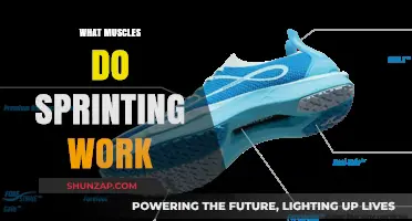 Sprinting's Power: Muscles Engaged for Speed and Strength Explained