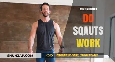 Squats: Unlocking the Power of Your Lower Body Muscles