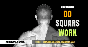 Squats: Unlocking the Power of Multiple Muscle Groups in One Move