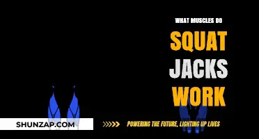 Squat Jacks: Target Muscles and Full-Body Benefits Explained