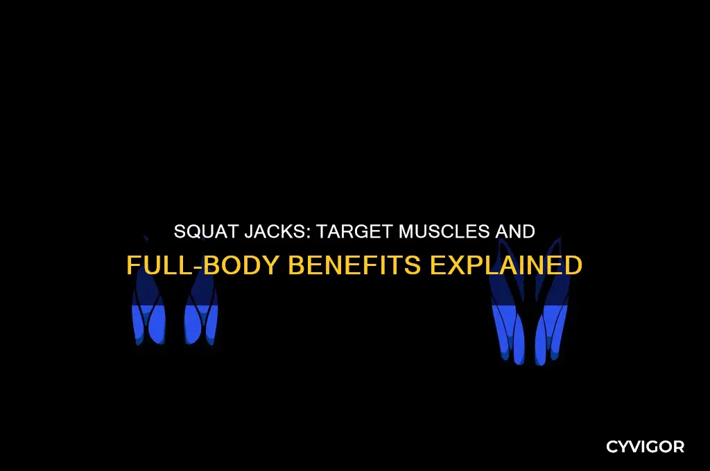 what muscles do squat jacks work