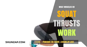 Squat Thrusts: Target Muscles and Full-Body Benefits Explained